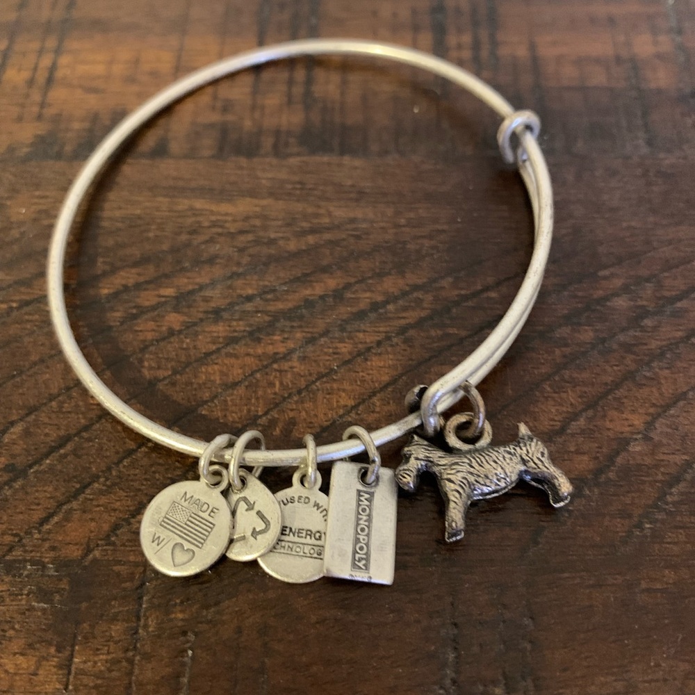 Alex and Ani Monopoly Bracelet